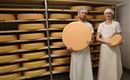 Mitterthrey Erbhof 4