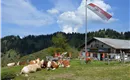 Obere Steinbergalm Kufstein