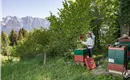 Tiroler Gebirgsimkerei Niederndorferberg Stefan